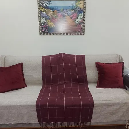 Apartamento Centro Do Rio De Janeiro